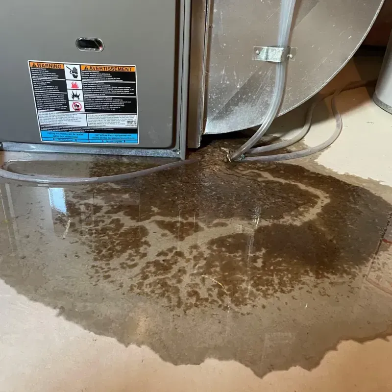 Appliance Leak Cleanup in Dearborn County, IN